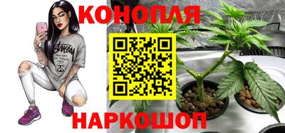 мет Можга