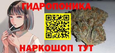 мет Можга