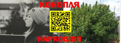 мет Можга