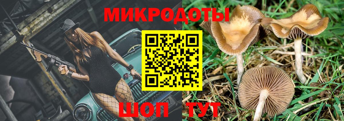 Галлюциногенные грибы Cubensis Янаул