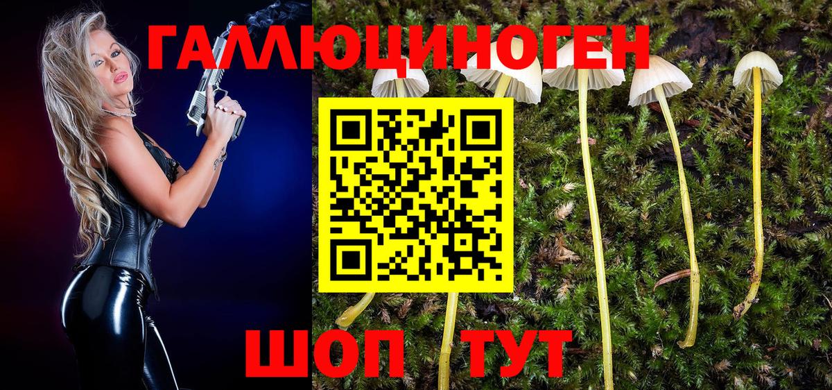 Янаул  как найти закладки  Галлюциногенные грибы мицелий  Вход с VPN  Псилоцибиновые грибы мицелий 